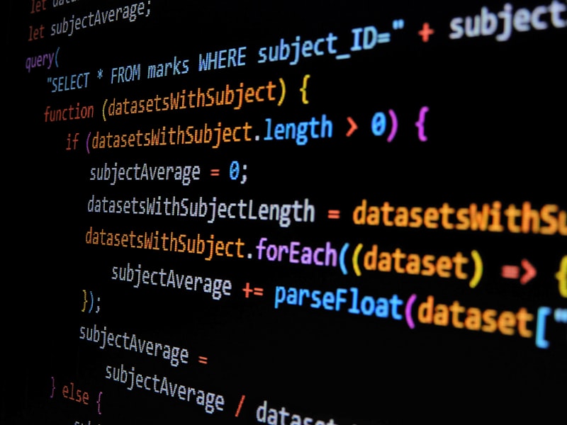 WordPress vs Custom Build: Which One is Right for Your Business?